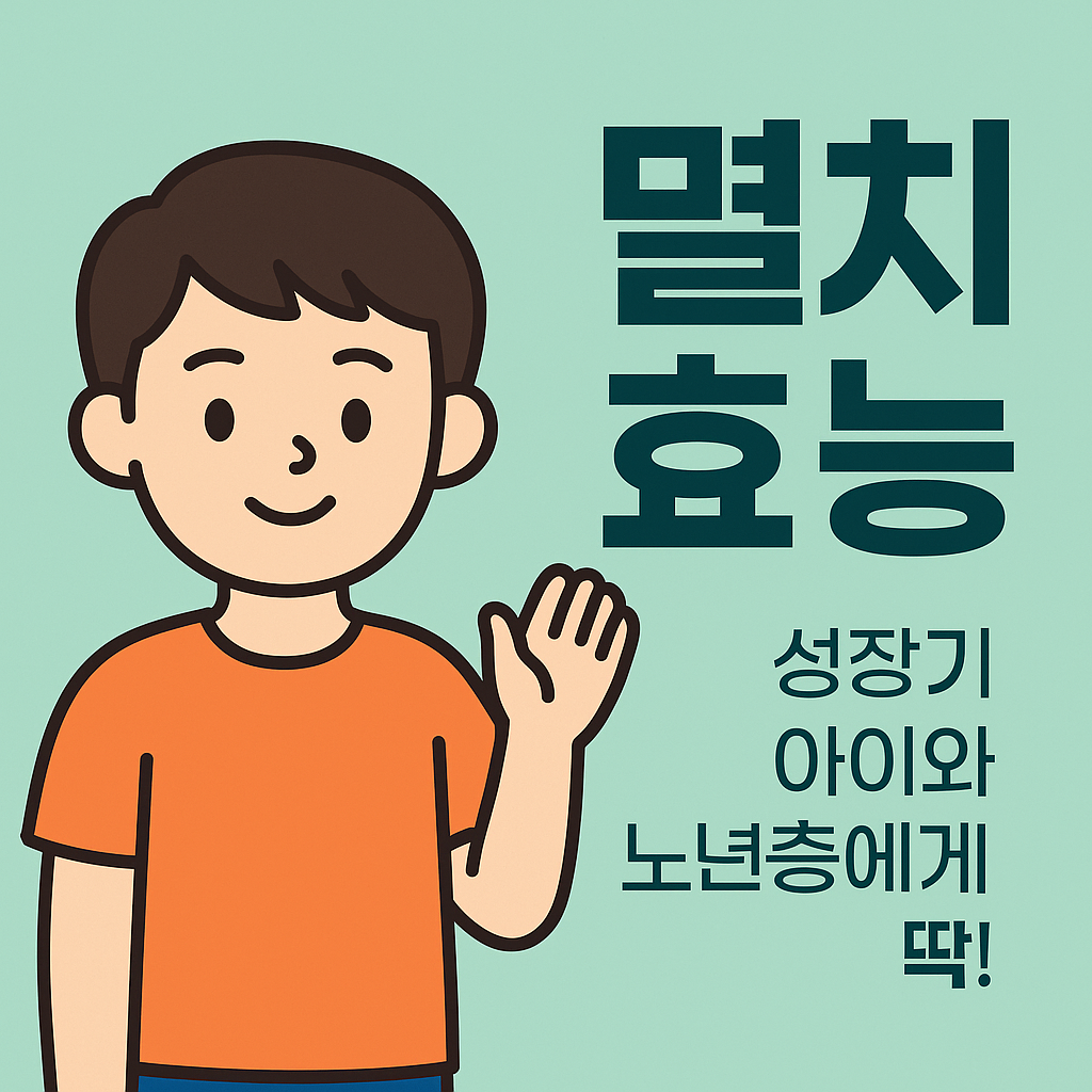 멸치 효능: 성장기 아이와 노년층에게 딱! 설명하는 썸네일 이미지