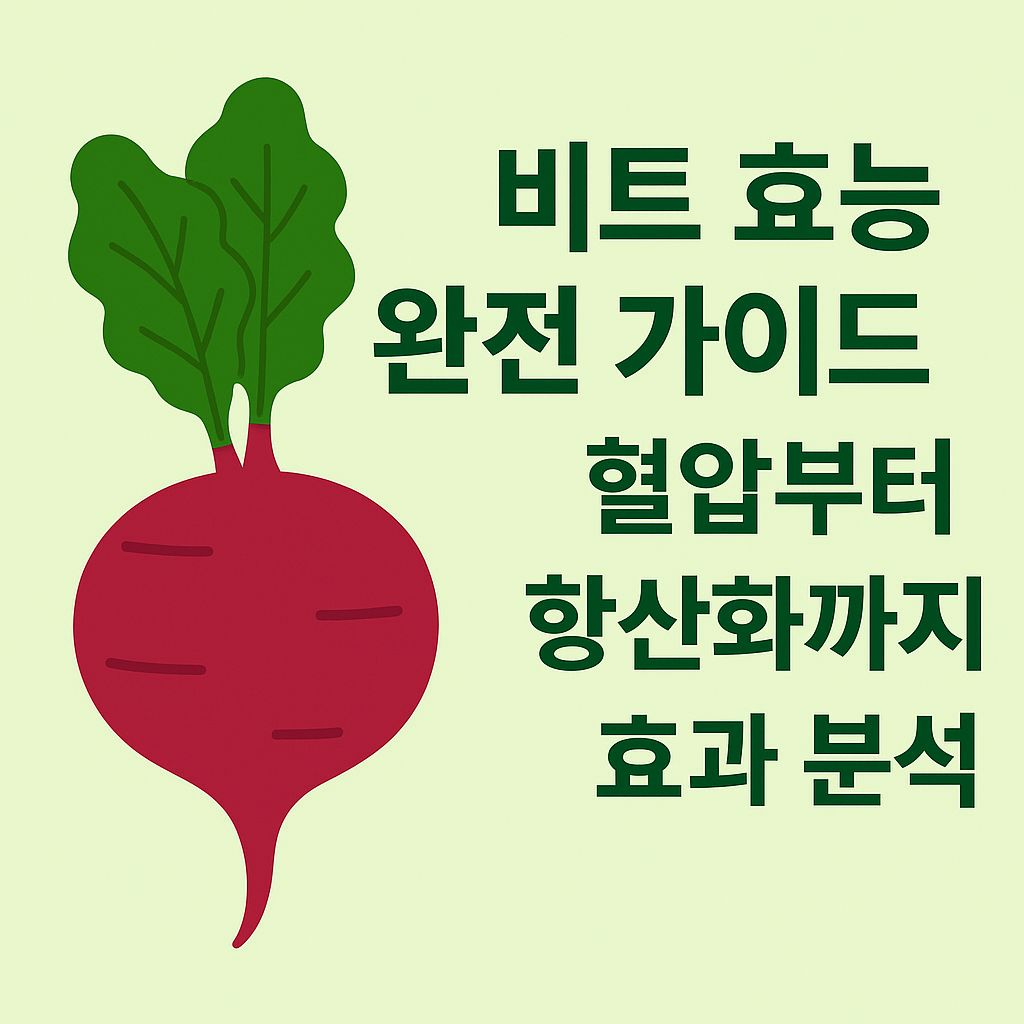 비트 효능 완전 가이드: 혈압부터 항산화까지 효과 분석 설명하는 썸네일 이미지