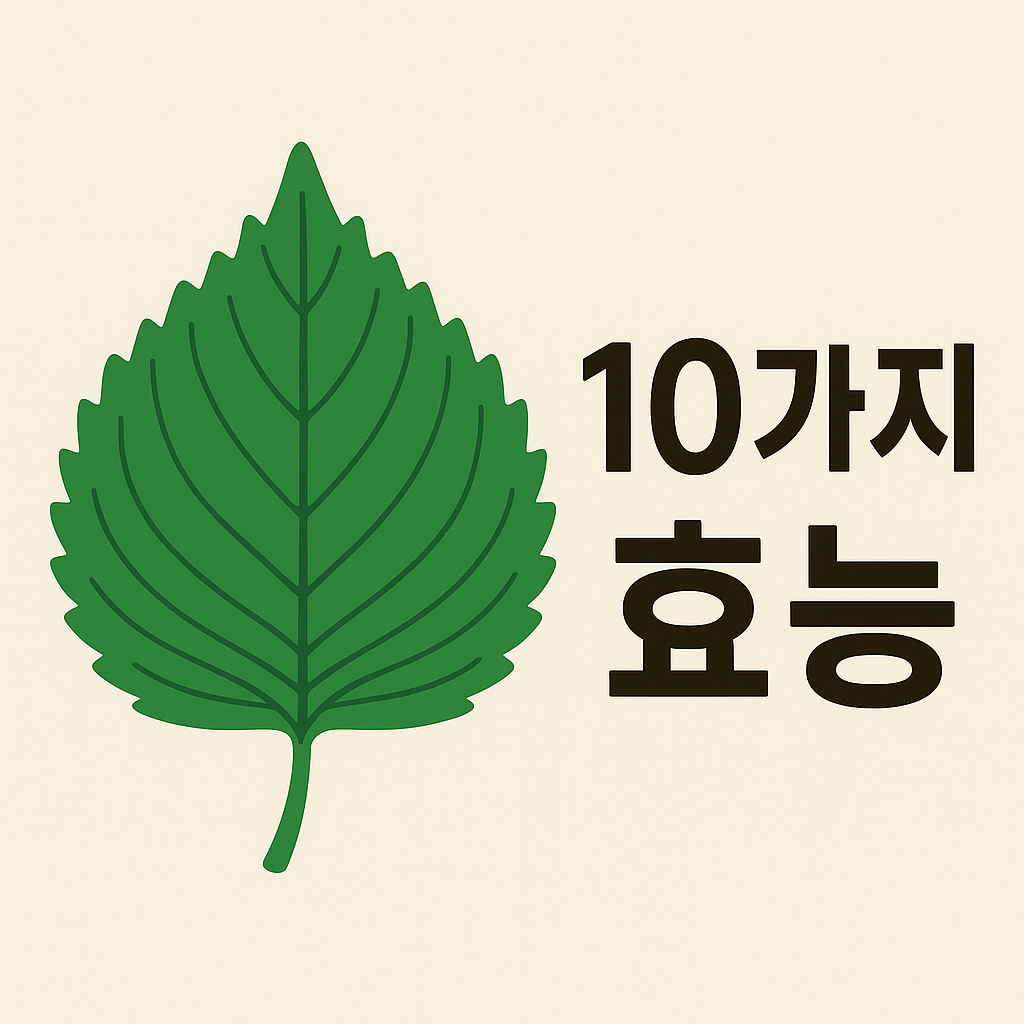 깻잎 효능 10가지 완벽 정리: 당신이 몰랐던 건강 비밀 설명하는 썸네일 이미지
