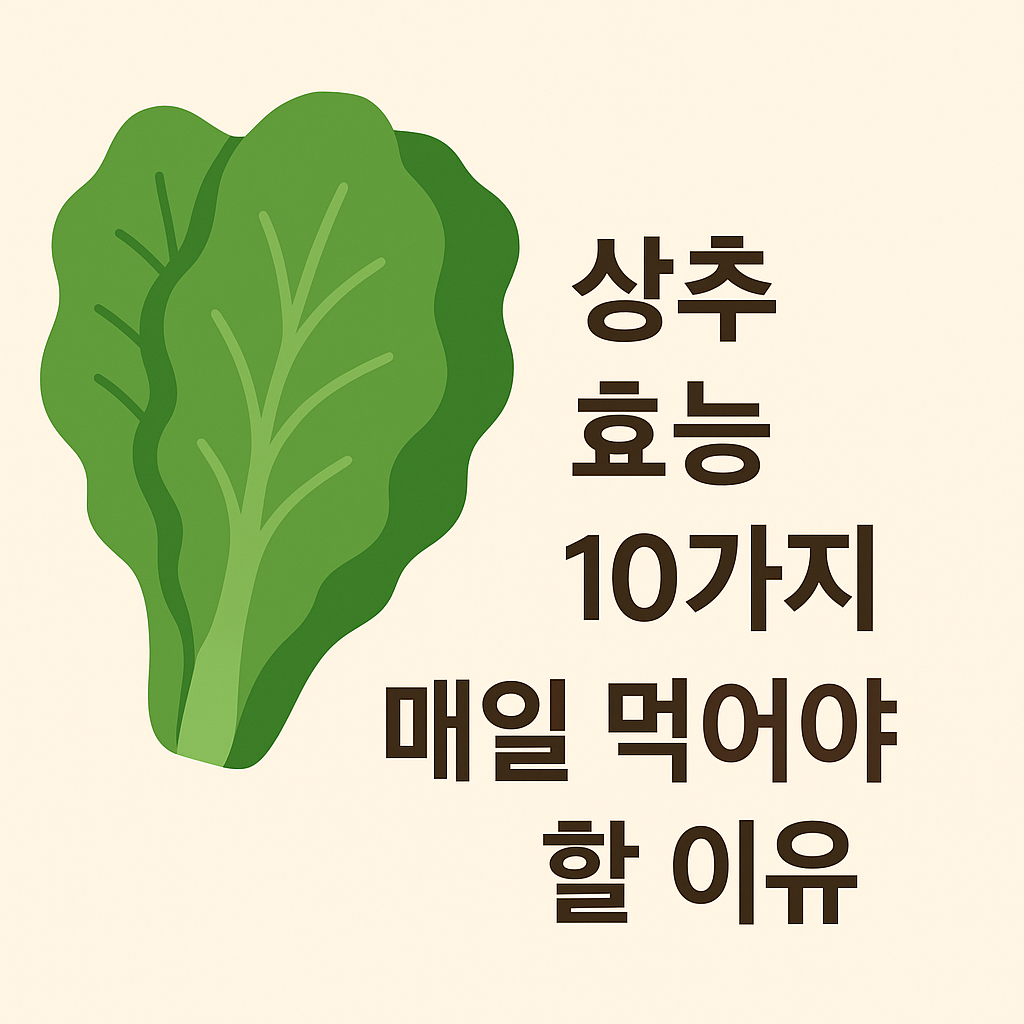 상추 효능 10가지: 매일 먹어야 할 이유 설명하는 썸네일 이미지