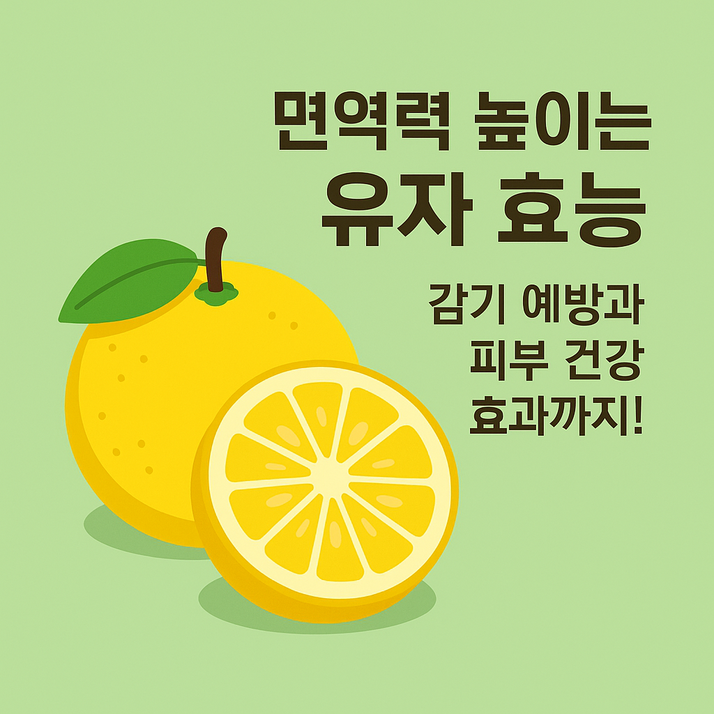 면역력 높이는 유자 효능, 감기 예방과 피부 건강 효과까지! 설명하는 썸네일 이미지