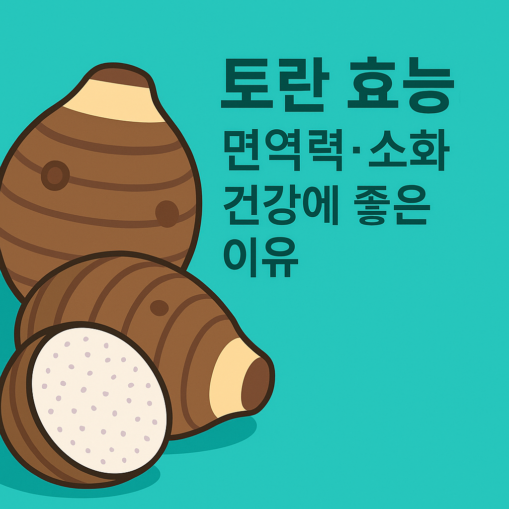토란 효능, 면역력·소화 건강에 좋은 이유 설명하는 썸네일 이미지