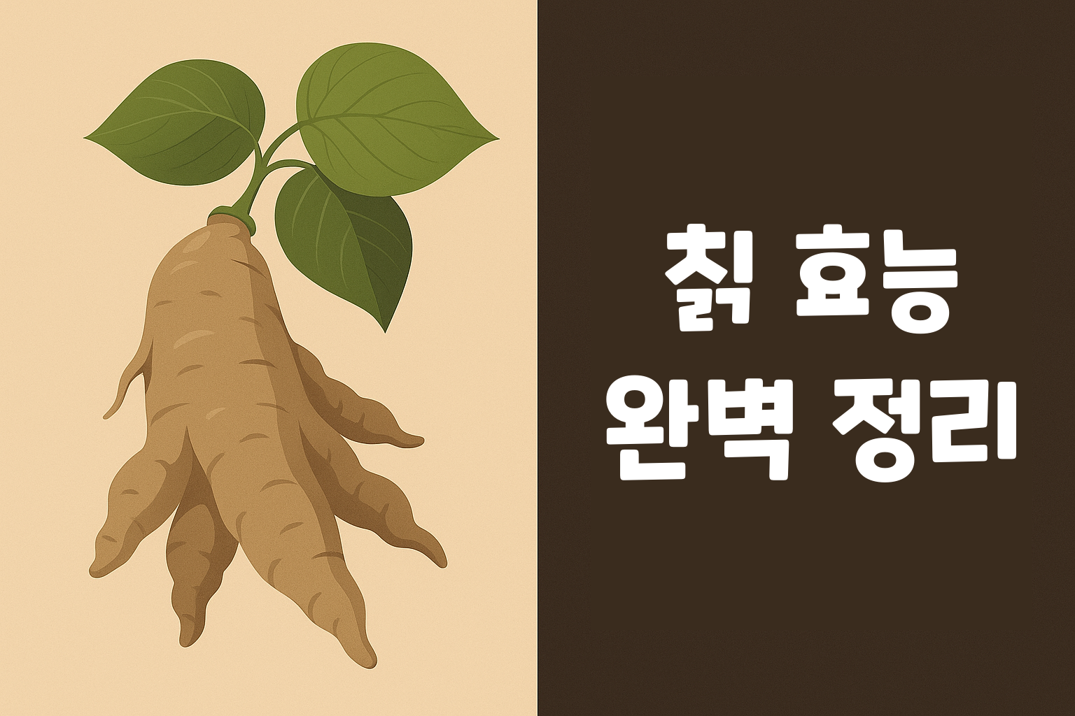 칡 효능 완벽 정리: 피로회복부터 피부미용까지 설명하는 썸네일 이미지