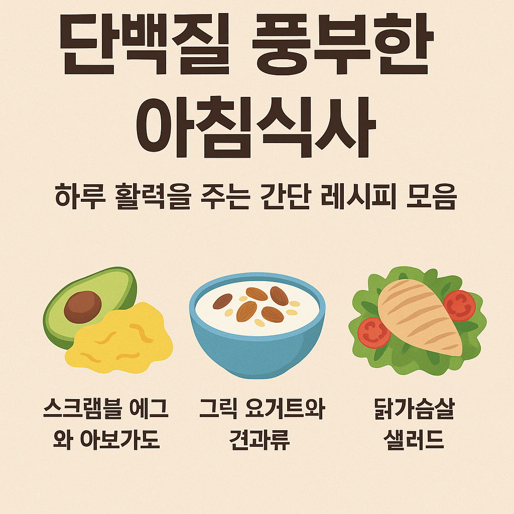 단백질 풍부한 아침식사, 하루 활력을 주는 간단 레시피 모음 설명하는 썸네일 이미지