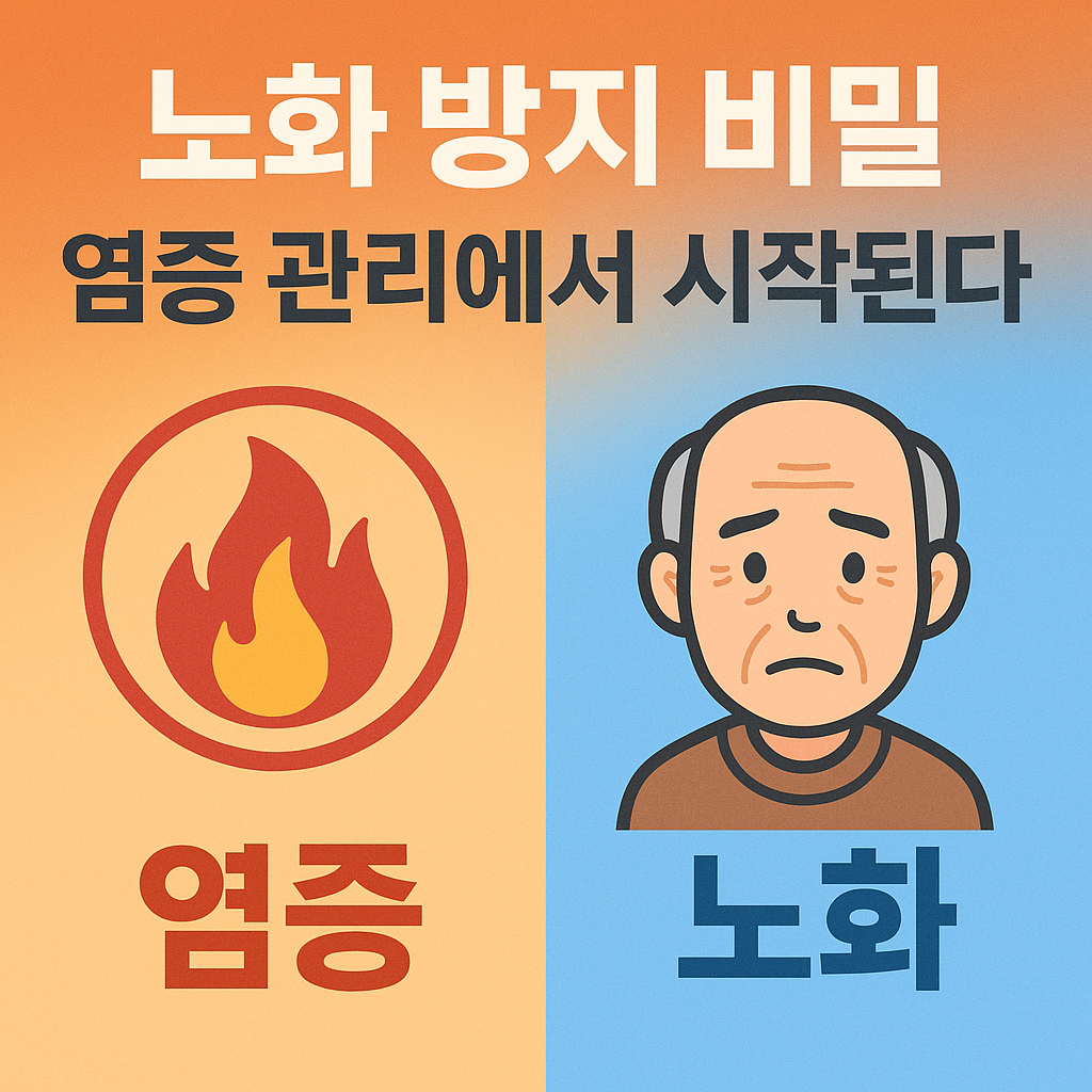 노화 방지 비밀, 염증 관리에서 시작된다 설명하는 썸네일 이미지