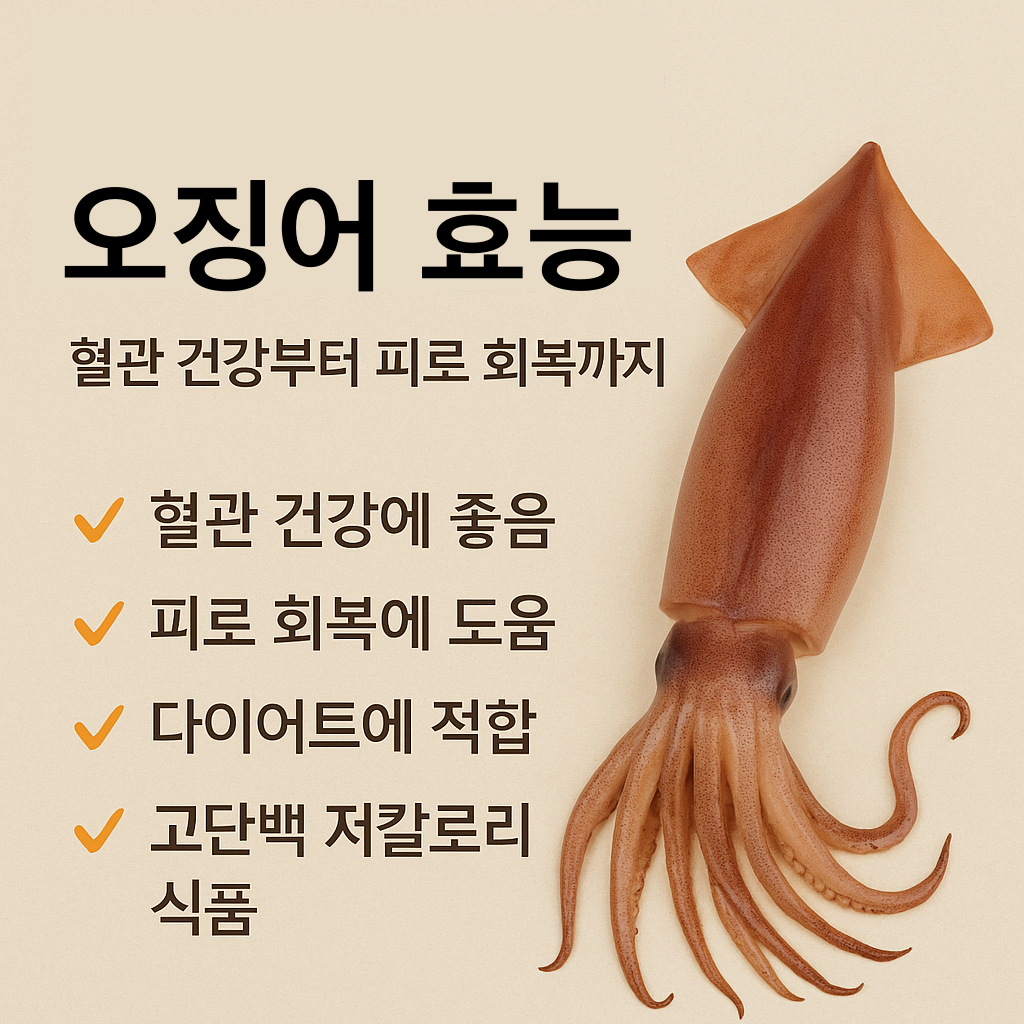 오징어 효능 제대로 알기: 혈관 건강부터 피로 회복까지 설명하는 썸네일 이미지