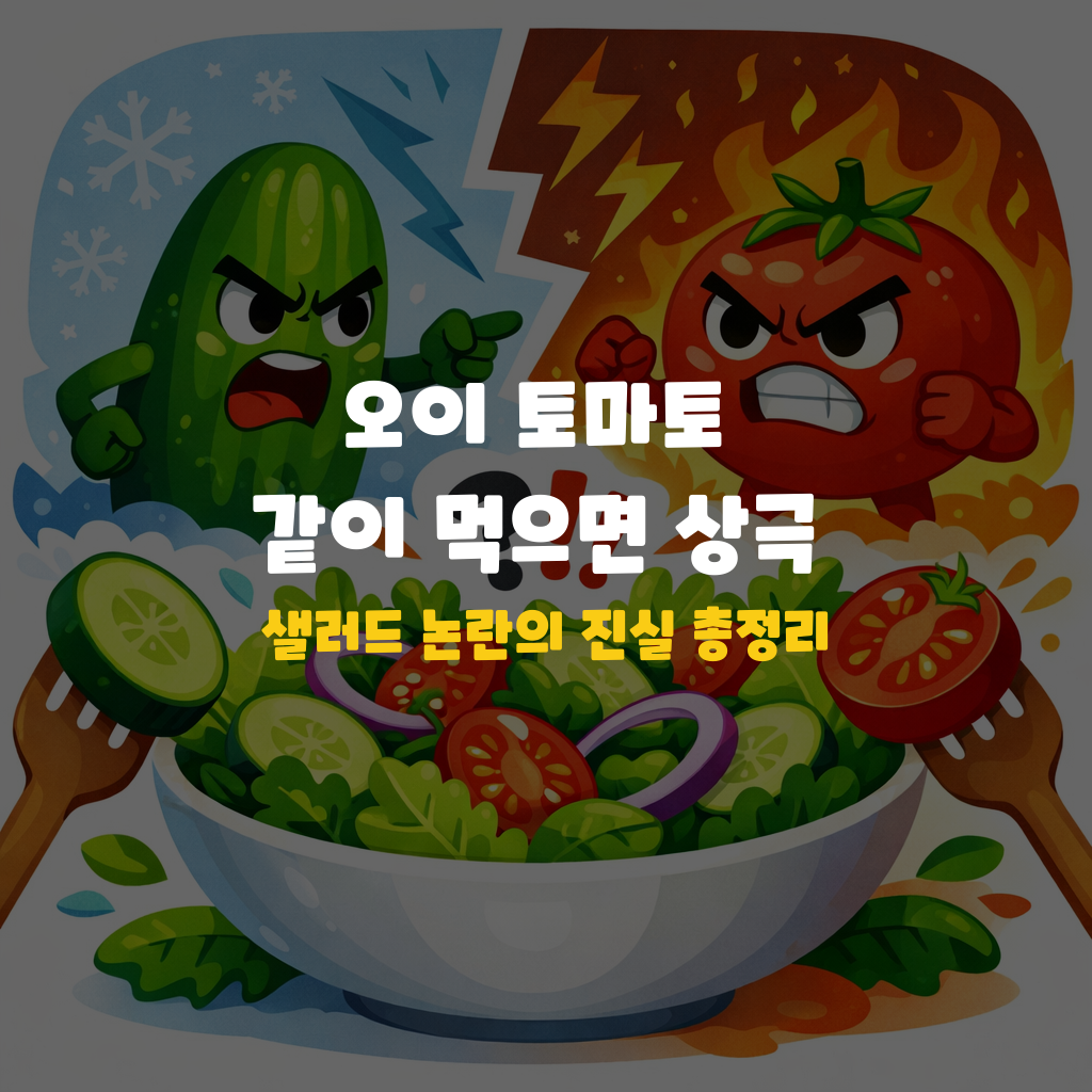 오이 토마토 같이 먹으면 상극? 샐러드 논란의 진실 총정리 설명하는 썸네일 이미지