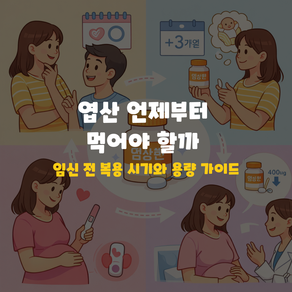 엽산 언제부터 먹어야 할까? 임신 전 복용 시기와 용량 가이드 설명하는 썸네일 이미지