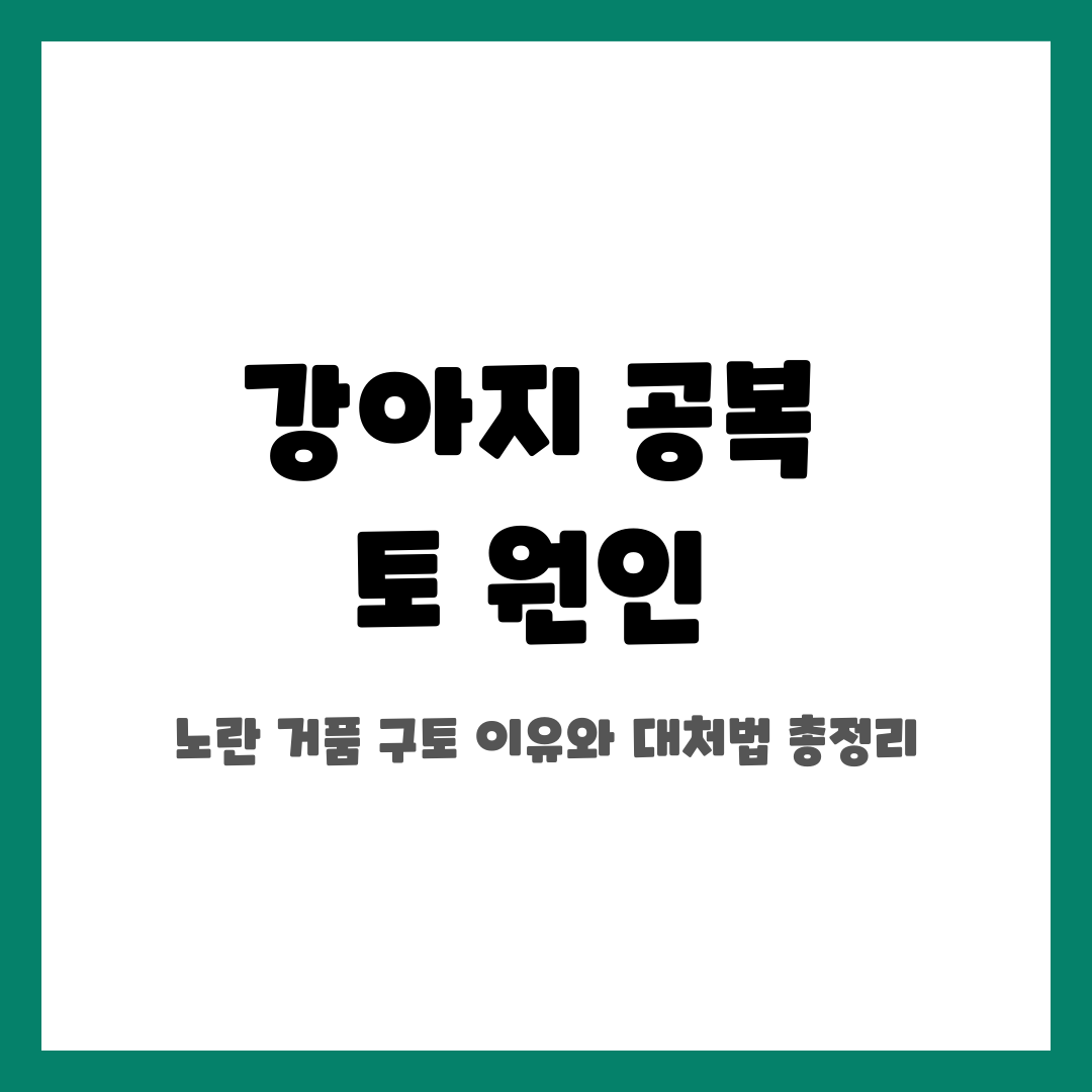 강아지 공복 토 원인, 노란 거품 구토 이유와 대처법 총정리 설명하는 썸네일 이미지