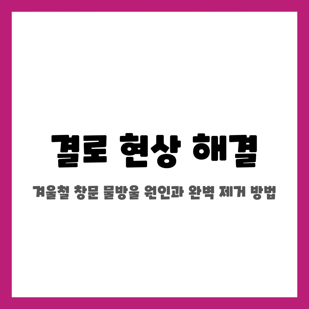 결로 현상 해결, 겨울철 창문 물방울 원인과 완벽 제거 방법 설명하는 썸네일 이미지