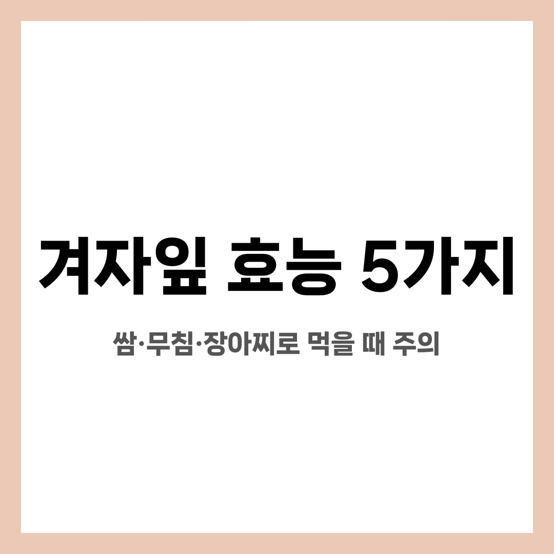 겨자잎 효능 5가지, 쌈·무침·장아찌로 먹을 때 주의 설명하는 썸네일 이미지