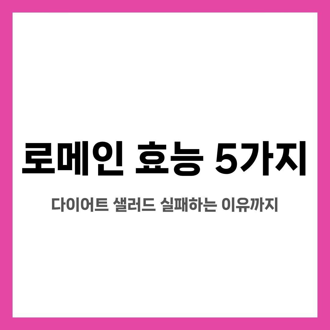 로메인 효능 5가지, 다이어트 샐러드 실패하는 이유까지 설명하는 썸네일 이미지