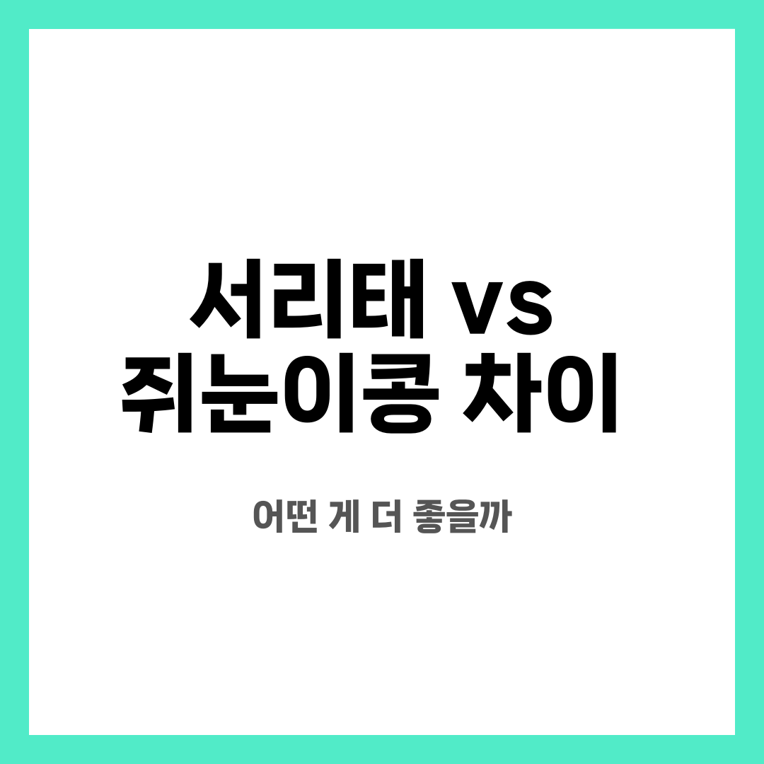 서리태 vs 쥐눈이콩 차이, 어떤 게 더 좋을까 설명하는 썸네일 이미지