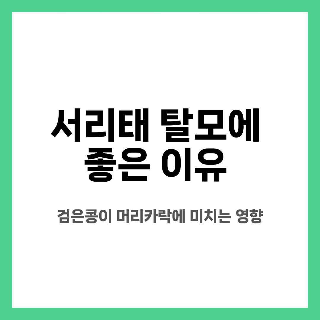 서리태 탈모에 좋은 이유, 검은콩이 머리카락에 미치는 영향 설명하는 썸네일 이미지