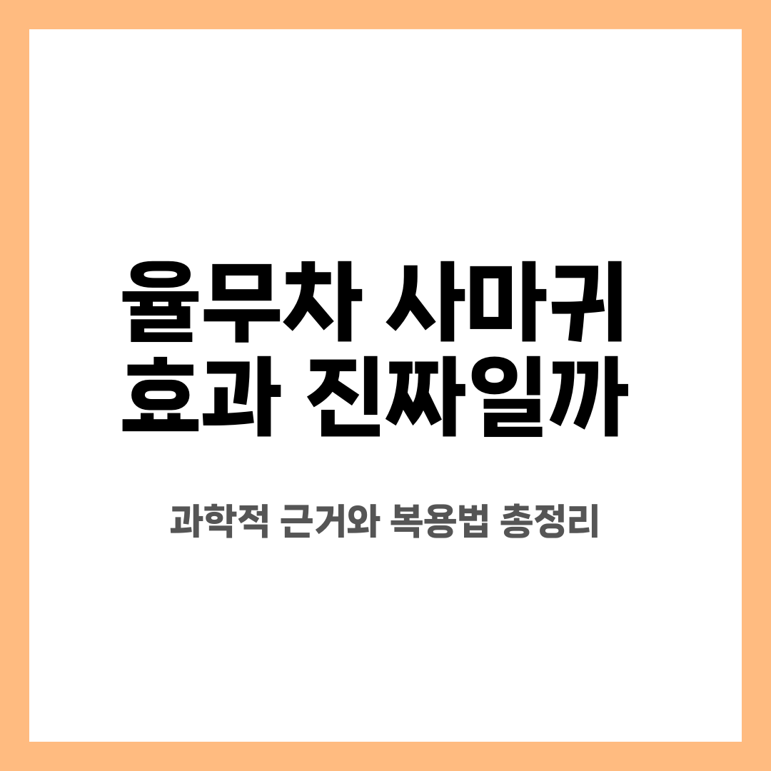 율무차 사마귀 효과 진짜일까? 과학적 근거와 복용법 총정리 설명하는 썸네일 이미지