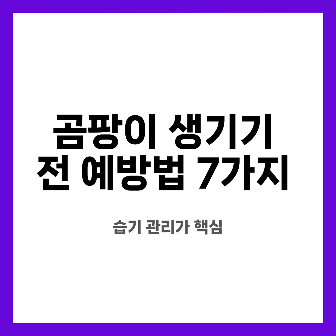 곰팡이 생기기 전 예방법 7가지, 습기 관리가 핵심 설명하는 썸네일 이미지