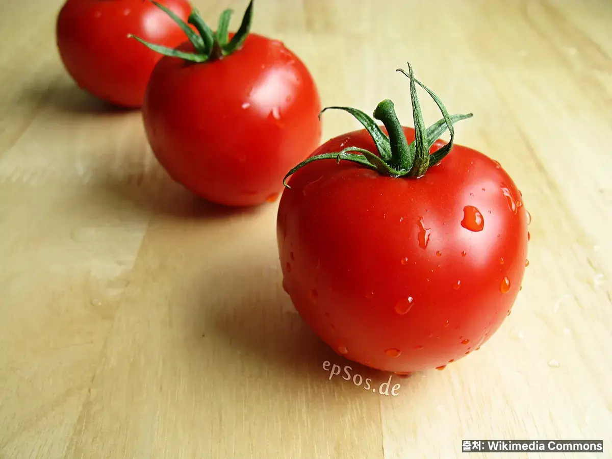 토마토 효능 관련 이미지