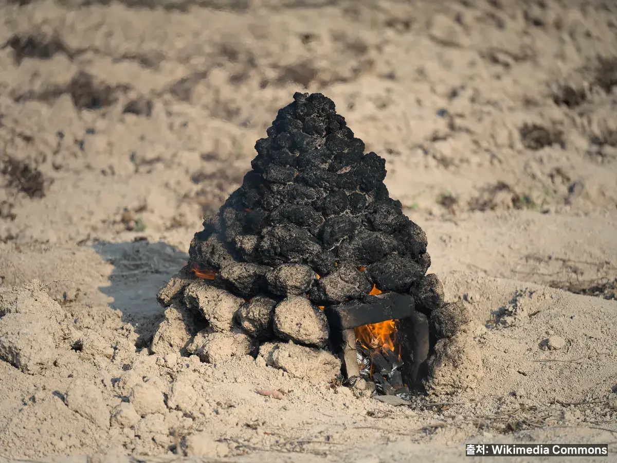 팽이버섯 효능 관련 이미지