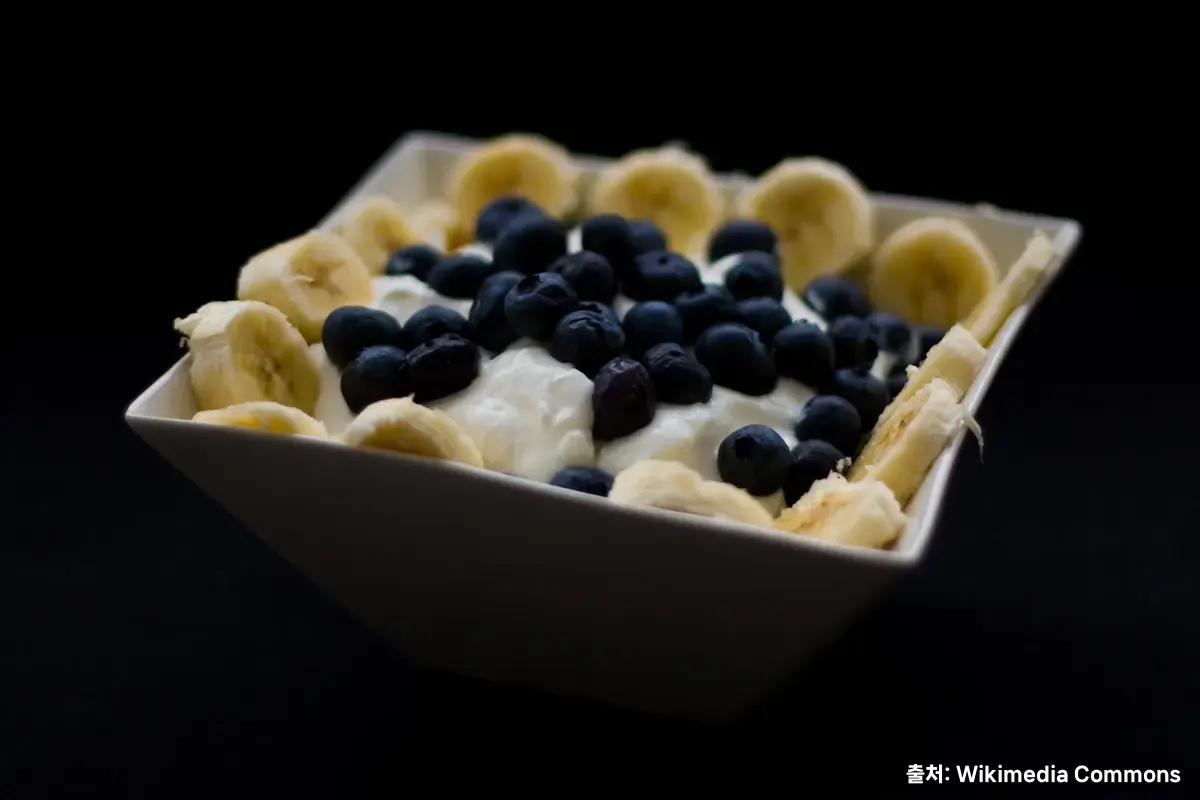 공복에 코티지치즈 먹어도 될까 관련 이미지