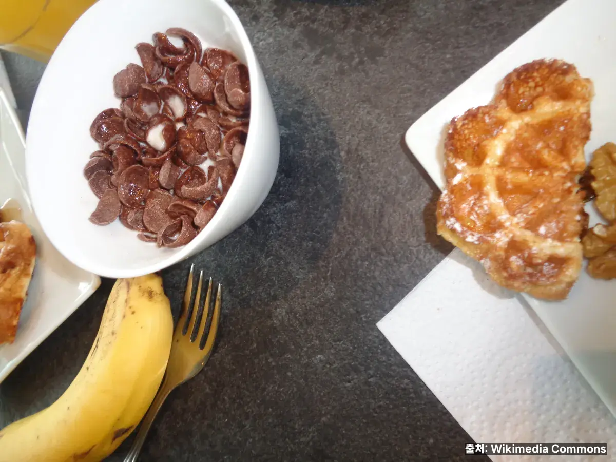 빈속에 우유 마셔도 될까 관련 이미지