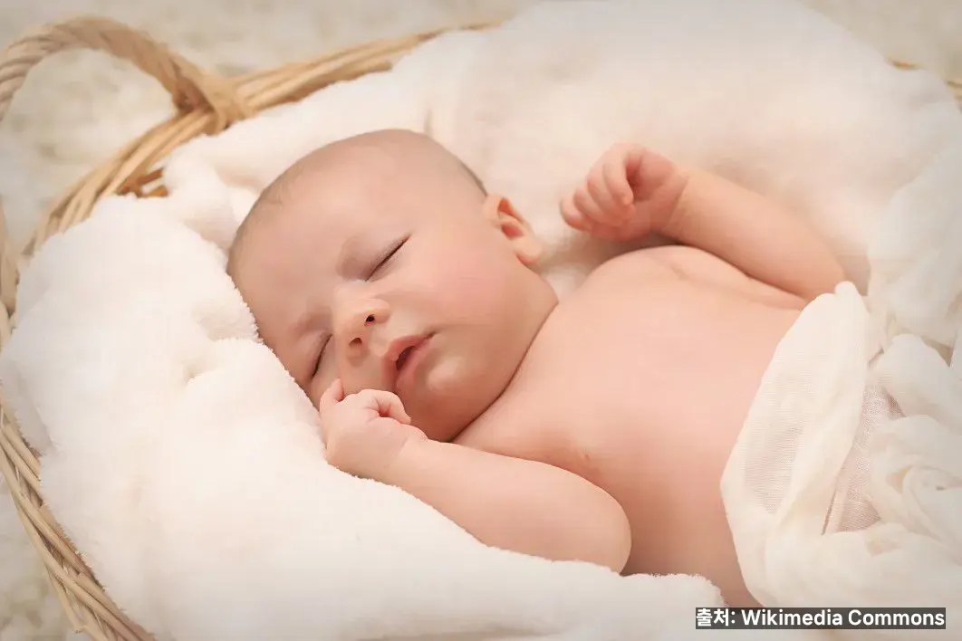 신생아 낮밤 바꾸는 법 관련 이미지