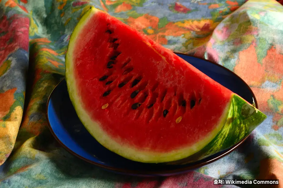 수박 이뇨 작용 관련 이미지
