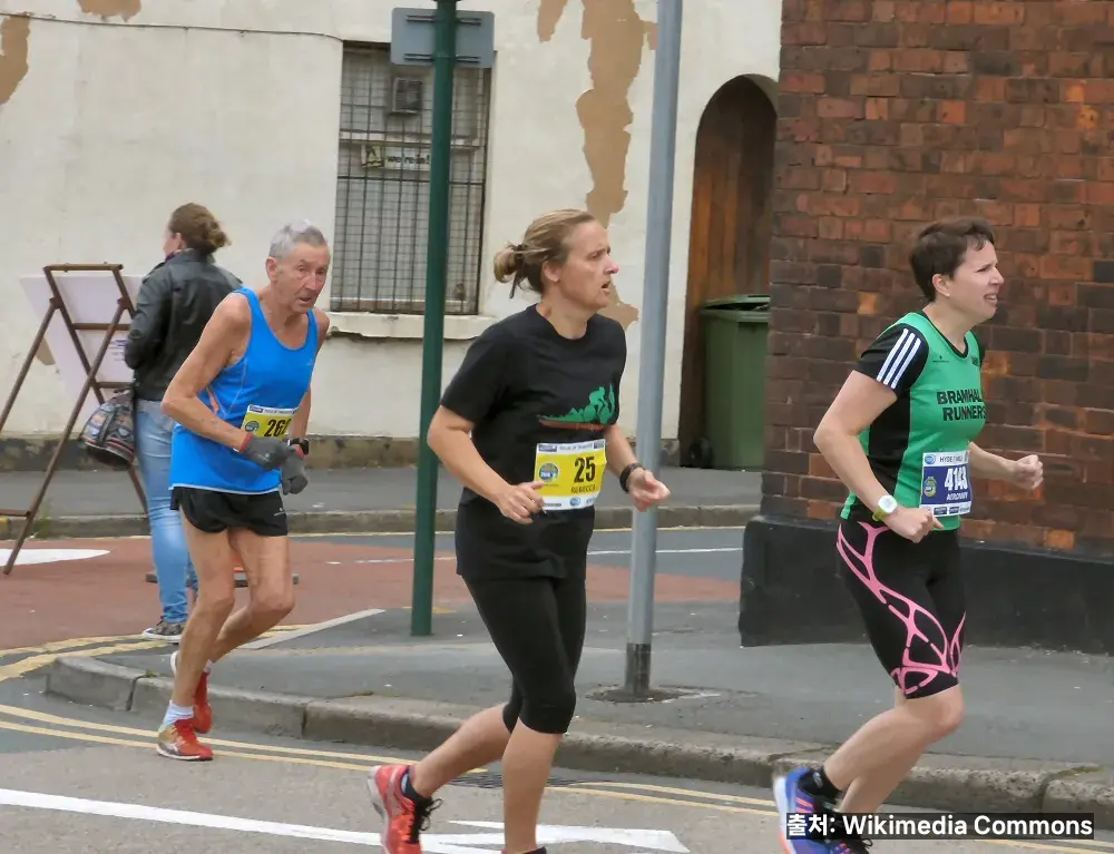 하프 마라톤 8주 플랜 관련 이미지