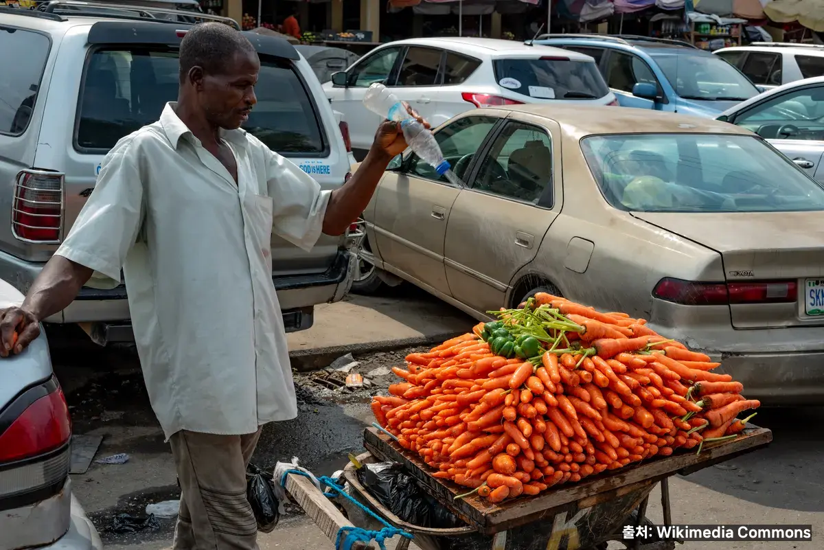 당근 효능 관련 이미지