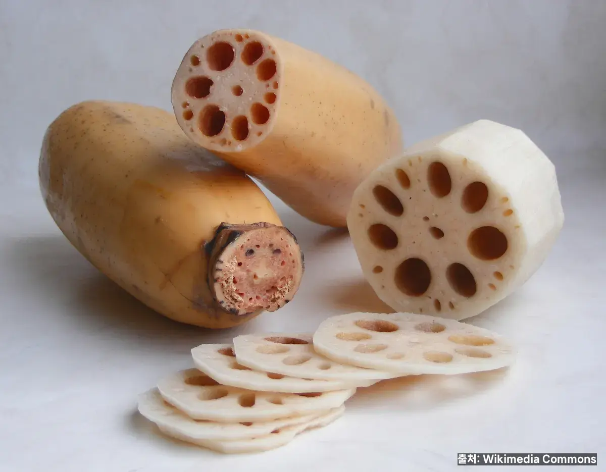 연근 효능 관련 이미지