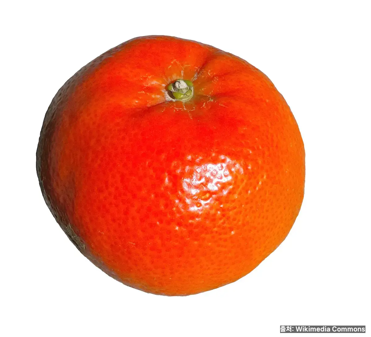 감귤 효능 관련 이미지