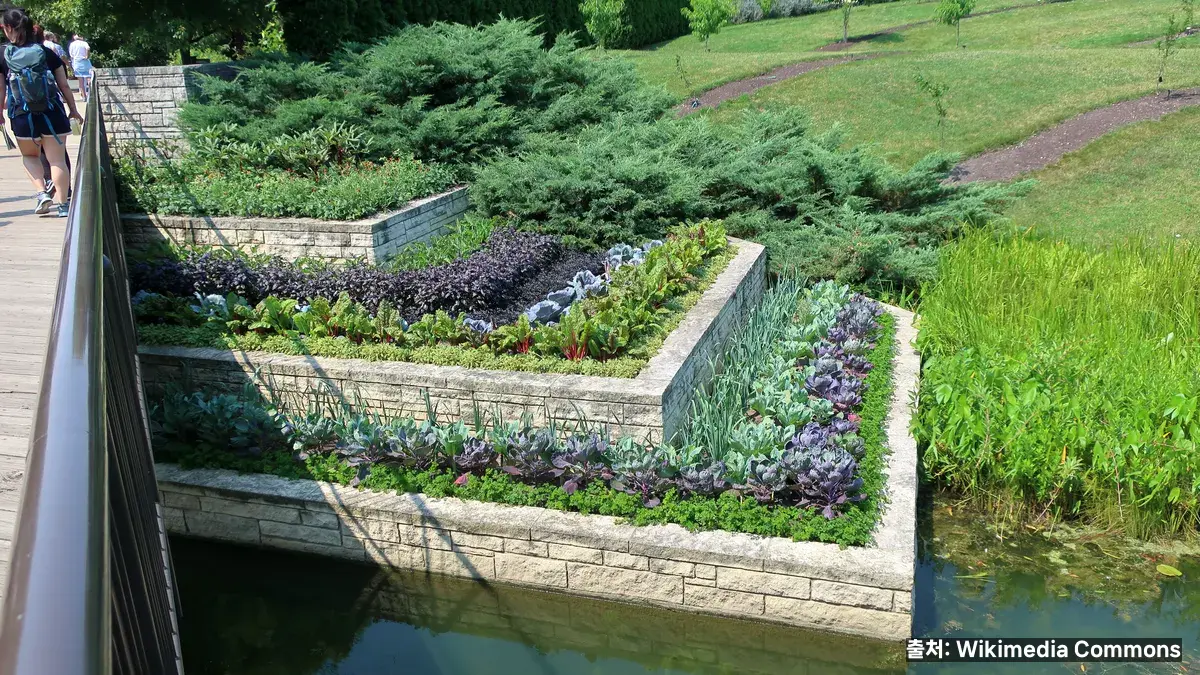 가지 효능 관련 이미지