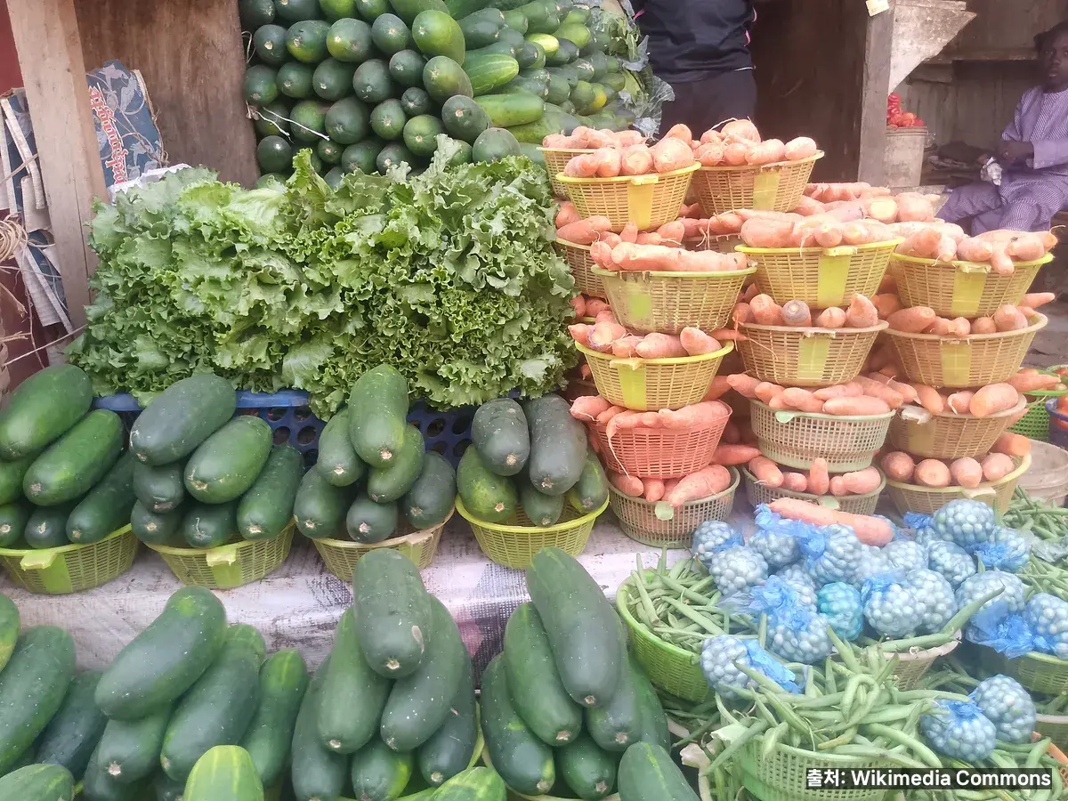 오이 효능 관련 이미지