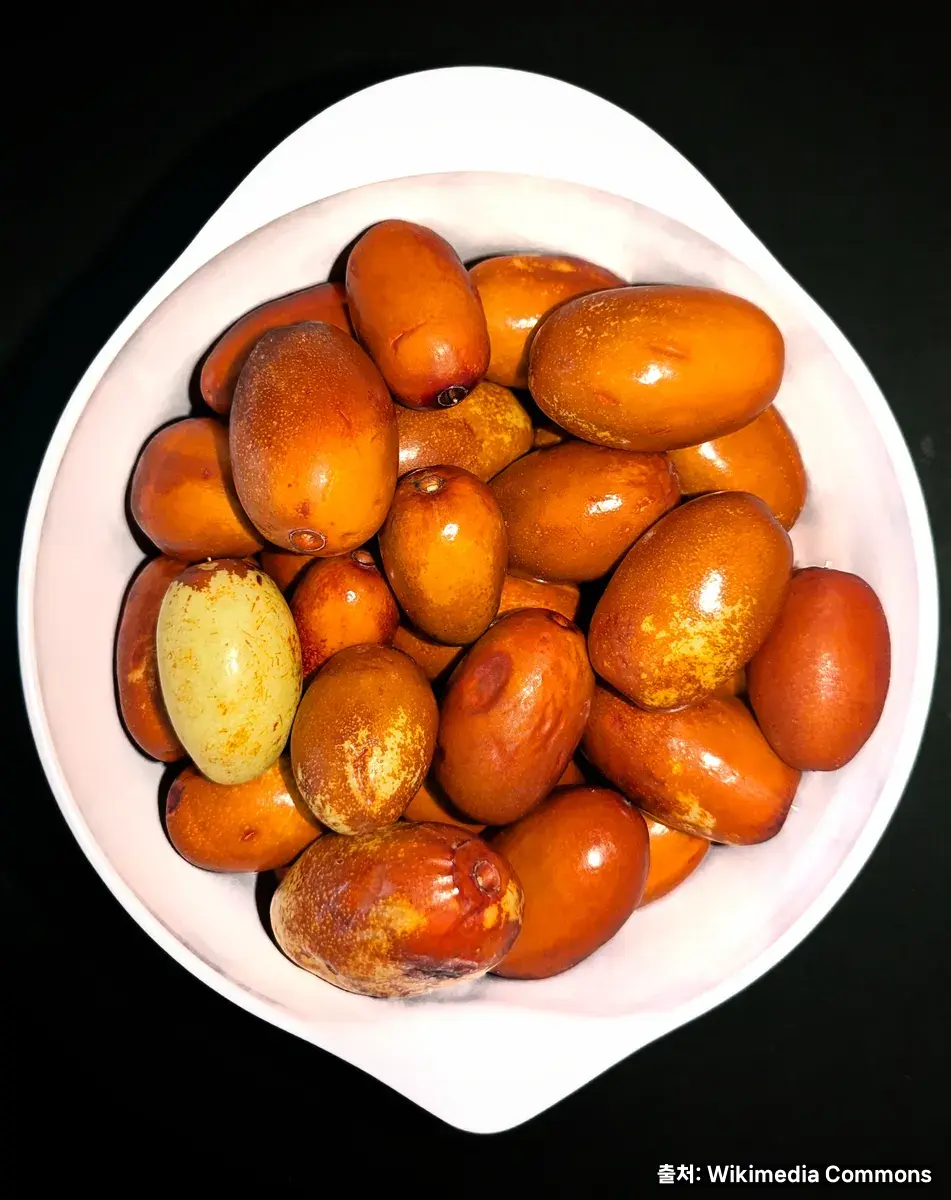 대추 효능 관련 이미지