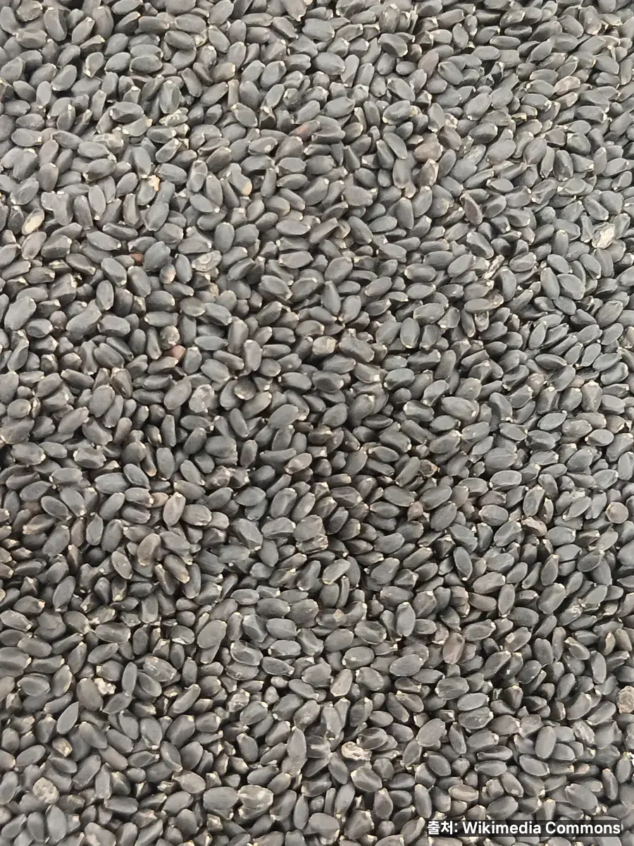 흑임자 효능 관련 이미지