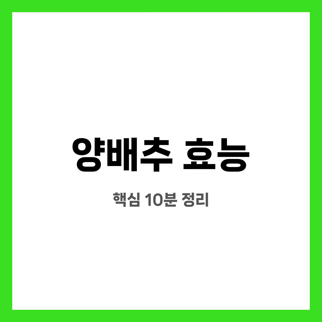 양배추 효능 10가지, 불안 끝! 진짜 도움될까? 언제 먹는 게 좋을까? 설명하는 썸네일 이미지