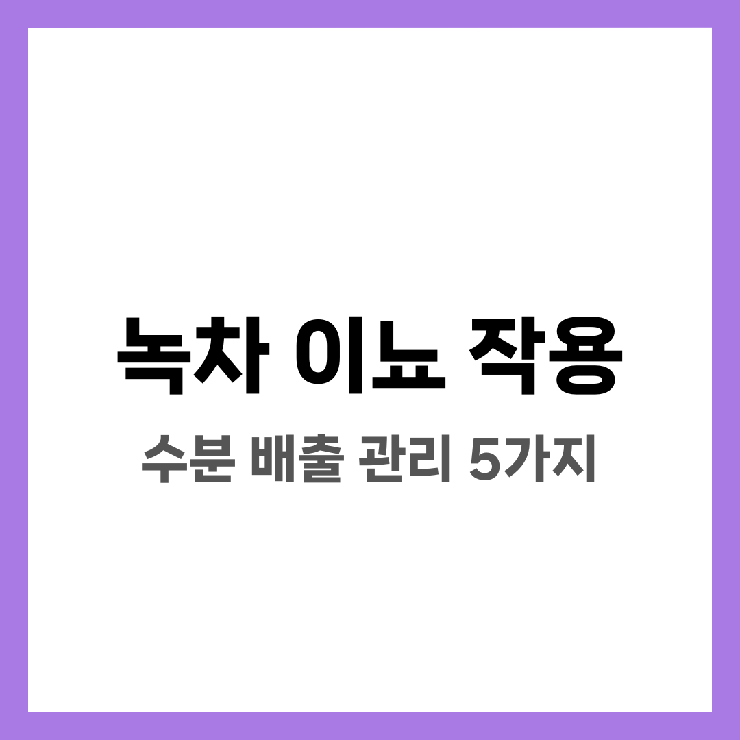 수박 이뇨 작용, 수분과 리코펜 부종 완화 5가지 설명하는 썸네일 이미지