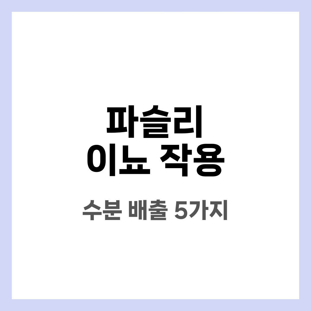 파슬리 이뇨 작용, 아피올과 칼륨 수분 배출 5가지 설명하는 썸네일 이미지