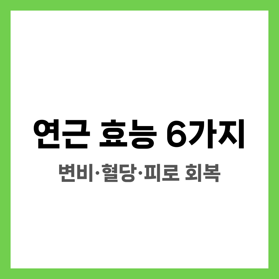 연근 효능 6가지, 변비·혈당·피로 회복 설명하는 썸네일 이미지