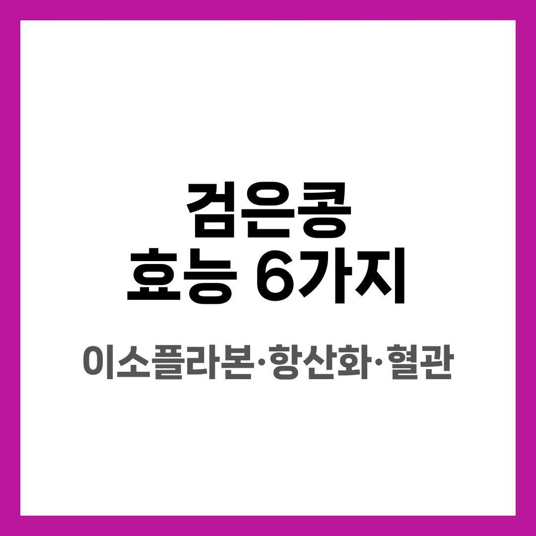 검은콩 효능 6가지, 이소플라본·항산화·혈관 설명하는 썸네일 이미지