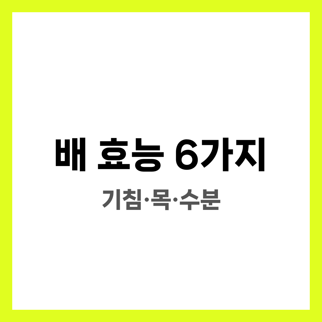 배 효능 6가지, 기침·목·수분 설명하는 썸네일 이미지