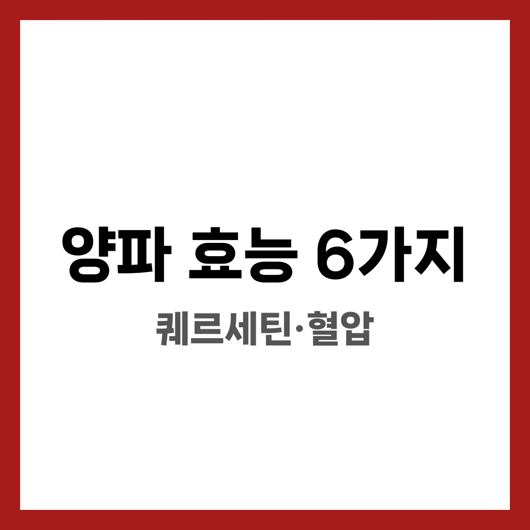 양파 효능 6가지, 퀘르세틴·혈압 설명하는 썸네일 이미지