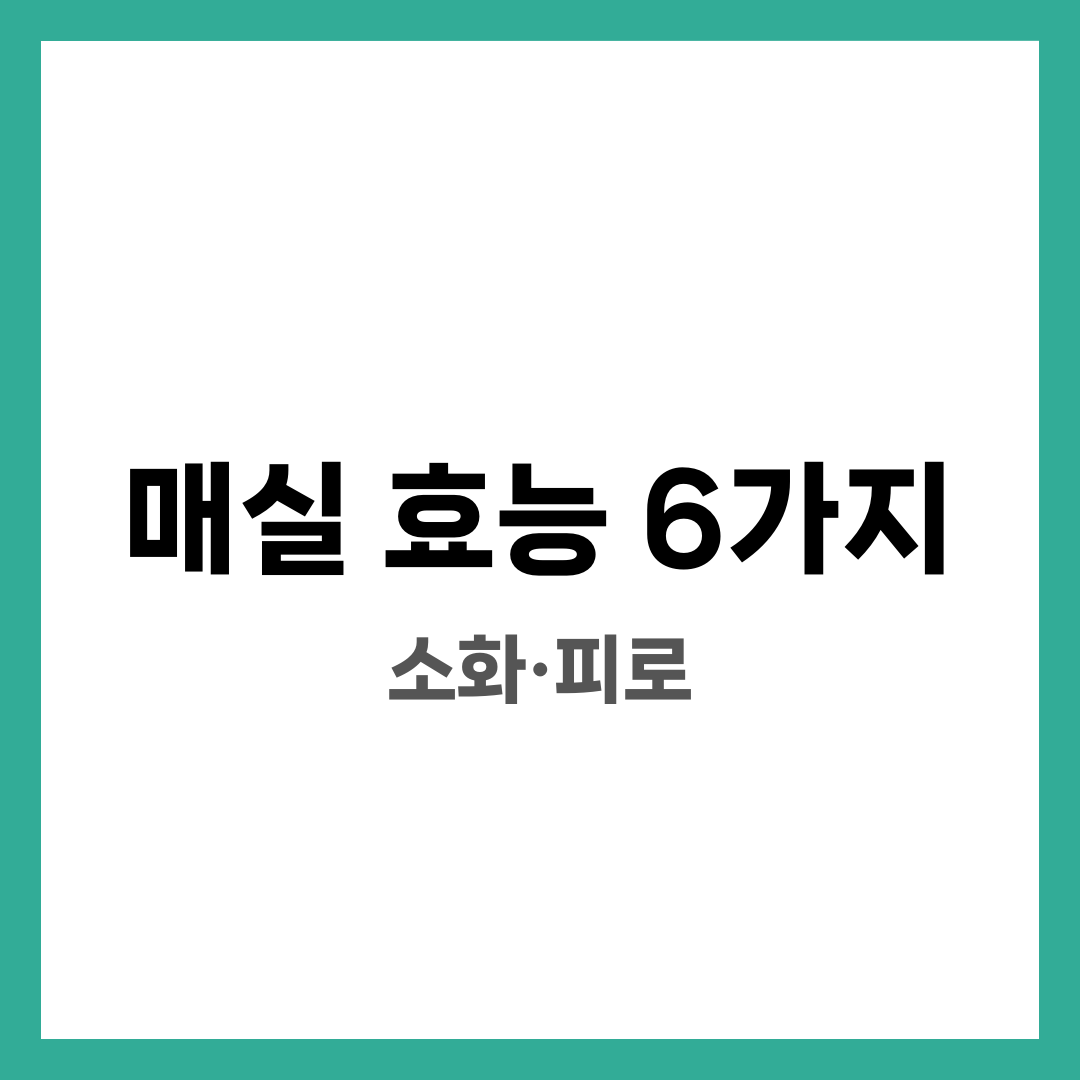 매실 효능 6가지, 소화·피로·매실청과 다른 각도 설명하는 썸네일 이미지