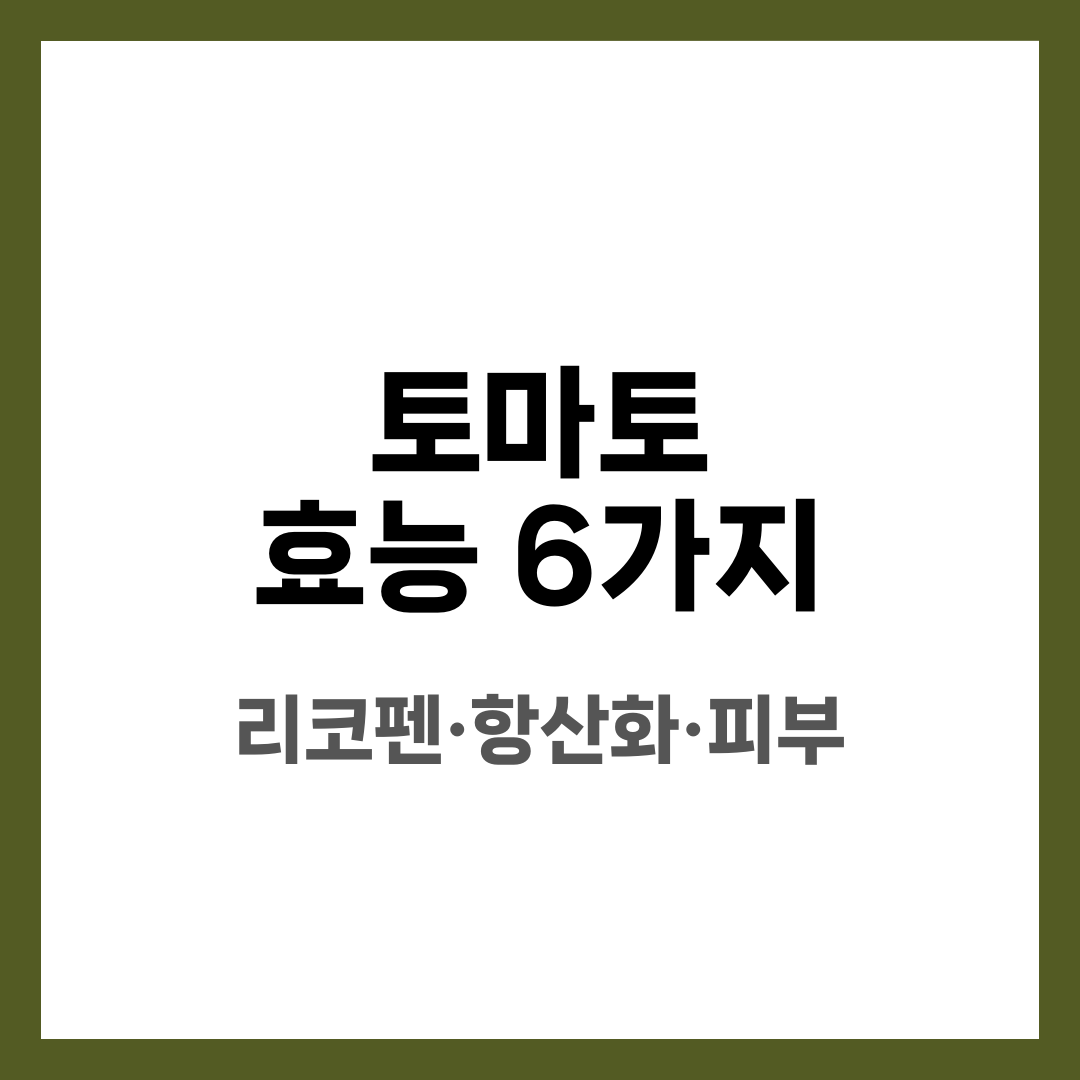 토마토 효능 6가지, 리코펜·항산화·피부 설명하는 썸네일 이미지