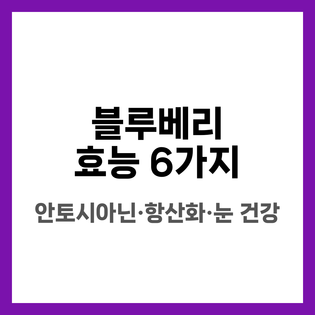 블루베리 효능 6가지, 안토시아닌·항산화·눈 건강 설명하는 썸네일 이미지