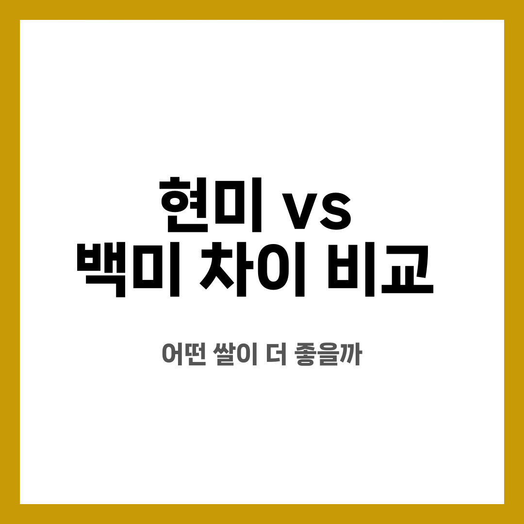 현미 vs 백미 차이 비교, 어떤 쌀이 더 좋을까 설명하는 썸네일 이미지