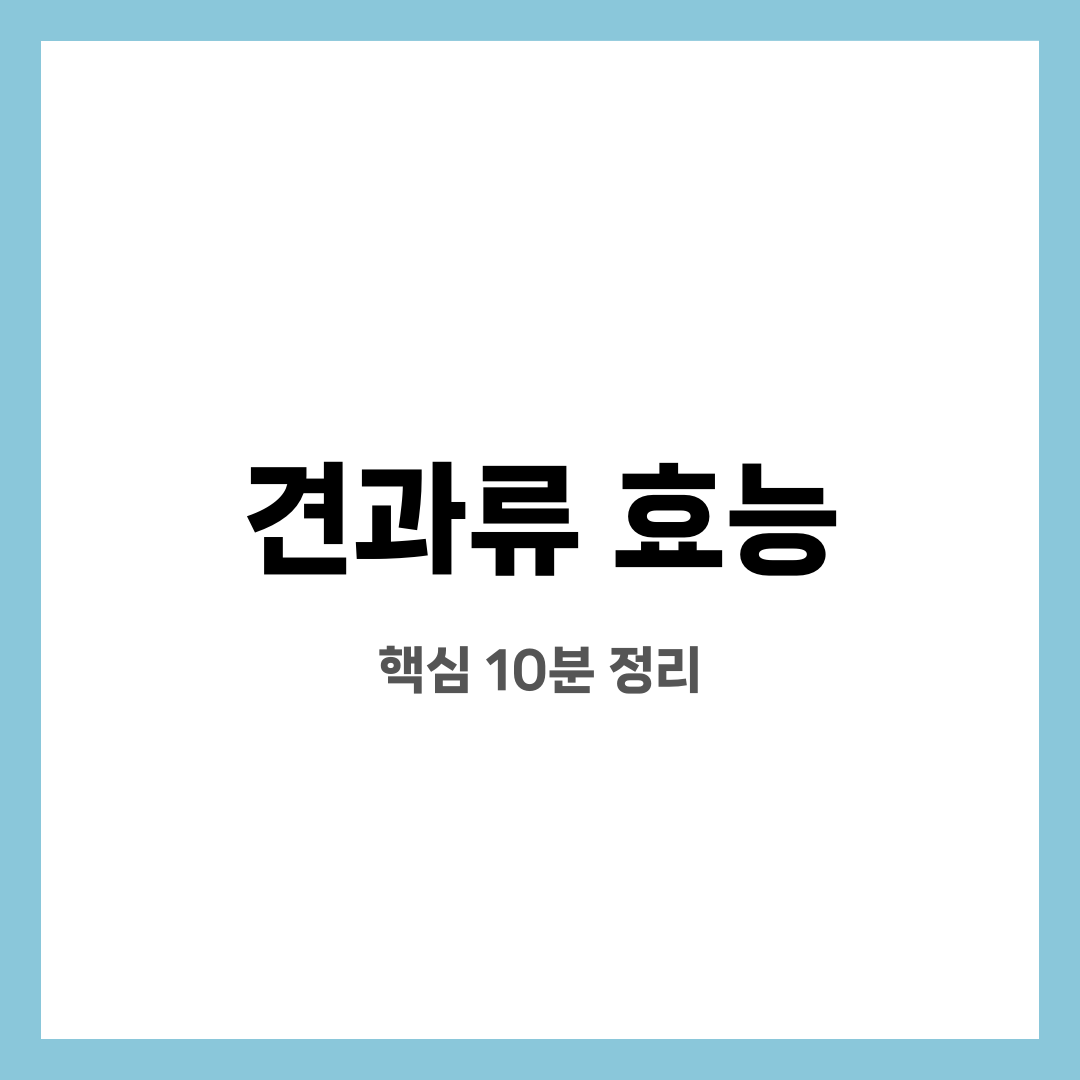견과류 효능 10가지, 불안 끝! 진짜 도움될까? 언제 먹는 게 좋을까? 설명하는 썸네일 이미지