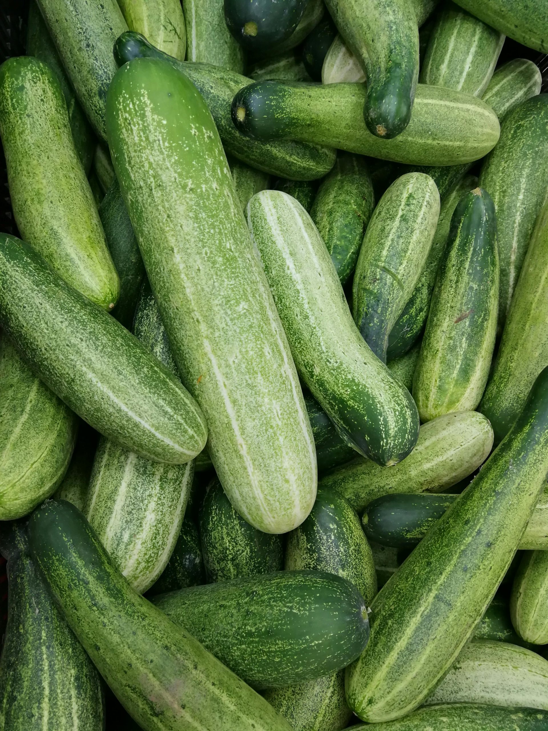 오이 — 부종 완화 가성비 베스트