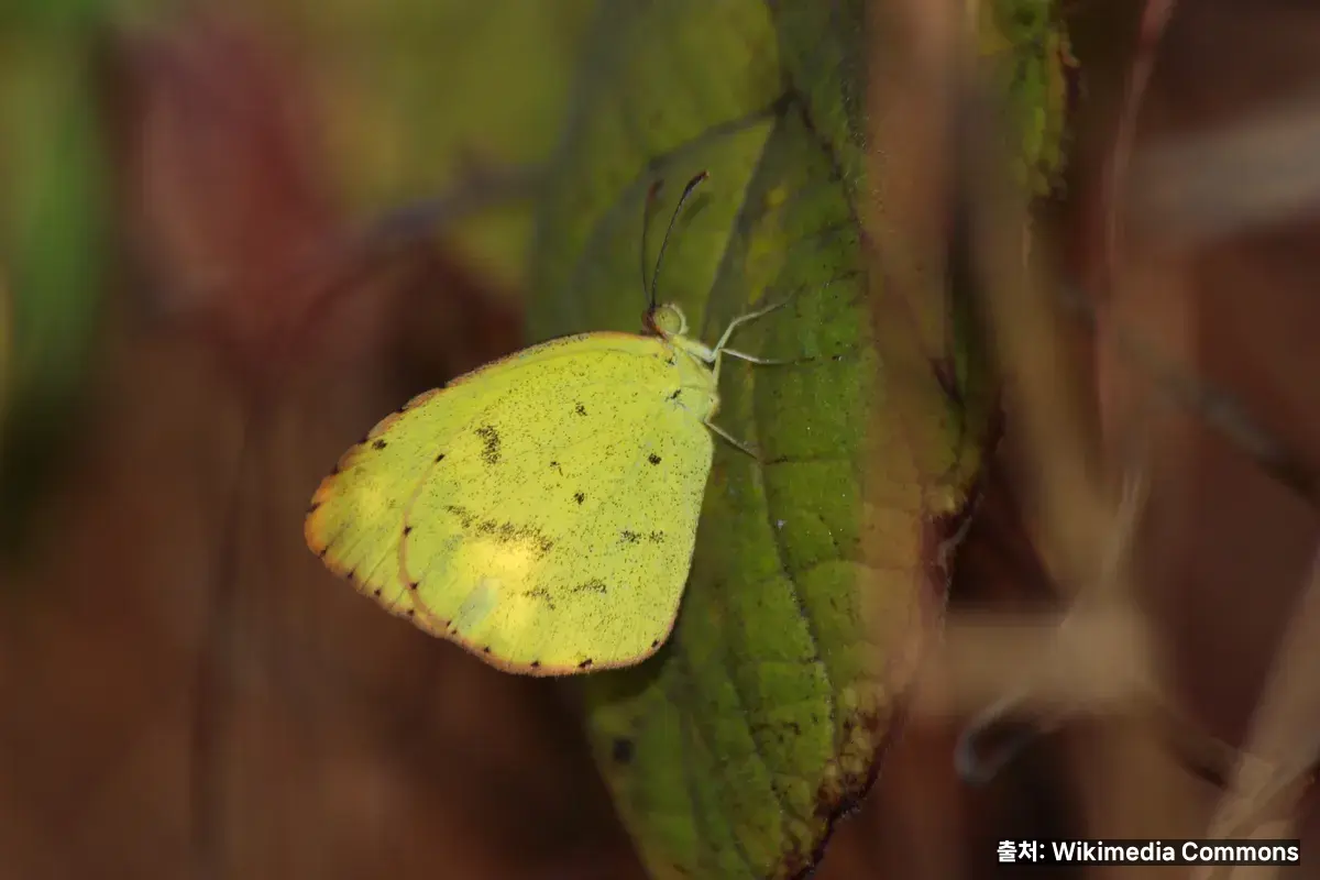 폐업 절차 관련 이미지