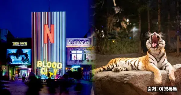 에버랜드 가을 이벤트