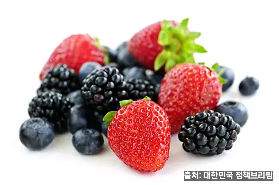 콜라겐 피부 효과·베리류 식품 - 대한민국 정책브리핑